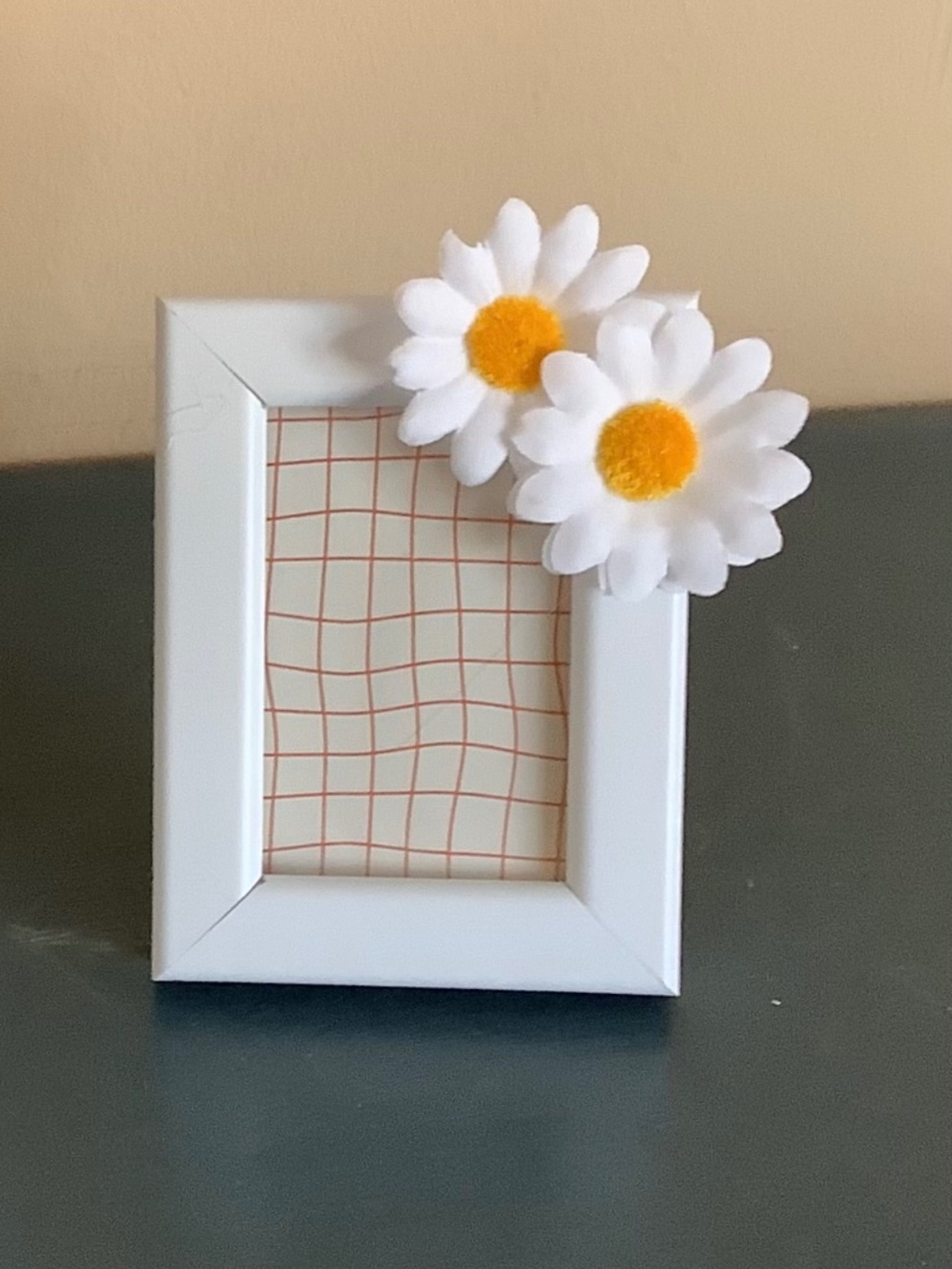 2x3 daisy frames